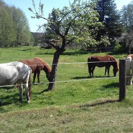 Ferienwohnung Wildau-Wentdorf Drahnsdorf Zewnętrze zdjęcie